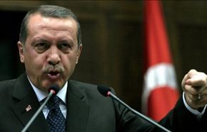 صحيفة تركية: أردوغان رفض طلبا من البرادعي للقائه