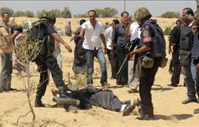 اعتقال أوكراني ينتمي لمسلحي سوريا في سيناء