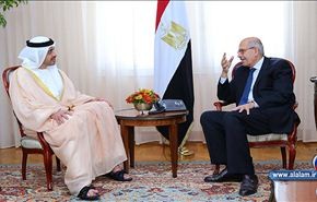 جهود عربية ودولية لإيجاد حل للأزمة المصرية