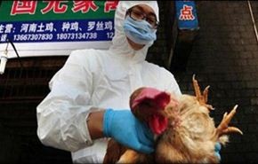 ظهور حالة جديدة من إنفلونزا الطيور في الصين