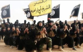 176عضو گروه تروریستی داعش بازداشت شدند