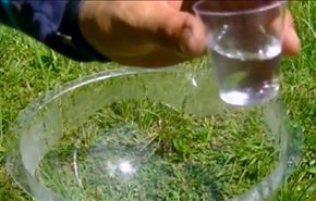 بیرون کشیدن آب از گیاهان فقط با یک ظرف پلاستیکی + فیلم