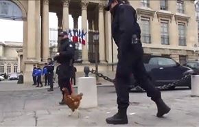 تظاهرات صدها مرغ مقابل پارلمان فرانسه + فیلم