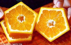 پرتقال عجیب 5 ضلعی در ژاپن + عکس