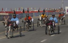 مسابقه جالب الاغ سواری در پاکستان + عکس