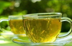 الشاي الاخضر