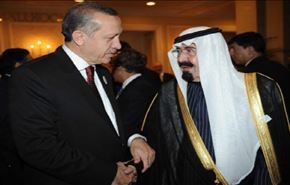 "ترکیه، عربستان دوم و اردوغان رئیس دزدان است"