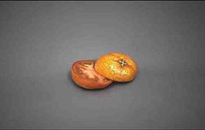 بالصور: تحول الطماطم والبرتقال الى بيض وباذنجان؟