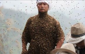 بالصور.. لترويج بيع العسل، يغطي نفسه بنصف مليون نحلة