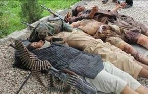 هلاکت 29 تروریست طالبان در افغانستان