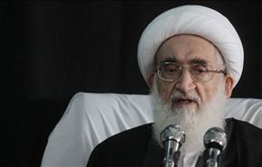 المرجع نوري همداني: علماء الشيعة لن يتخلوا عن مسؤوليتهم