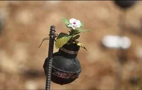 بالصور.. تزرع الزهور في قلب القنابل التي قتلت ابنها