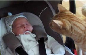 فيديو/قطة تصاب بالفزع لمشاهدة طفل رضيع للمرة الأولى