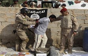 هلاکت و بازداشت 24 عضو داعش در جنوب تکریت