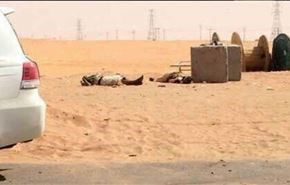 تروریستهای مهاجم در مرز عربستان سعودی بودند