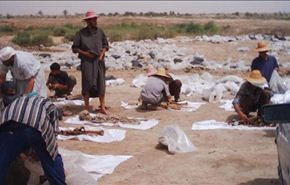 أربع مقابر جماعية تفتح قريبا في البصرة