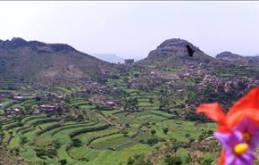 منكم وإليكم: مناظر من مدينة الضالع جنوب اليمن