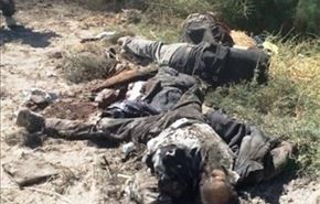 هلاکت سرکرده داعش و چهار همراهش در نینوا