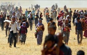 "فدائیان ملک طاووس" با داعش درگیر شدند