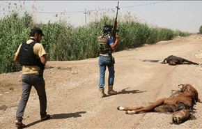 داعش حیوانات را هم بمبگذاری می‌کند