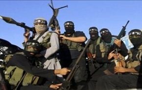 صحيفة: عناصر 