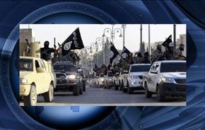 نماینده حزب الله: آمریکا داعش را نابود نمی کند، پرورش می‌دهد