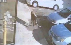 فيديو... كلب يتلقى رصاصة فداءً لأصحابه