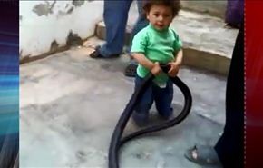 بالفيديو.. طفلة تلهو بثعبان بتشجيع من والدها