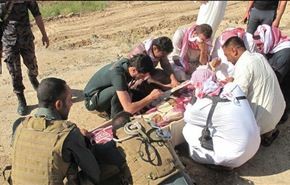 داعش تعدم 15 شابا لعشيرة الجميلات السنية في الانبار