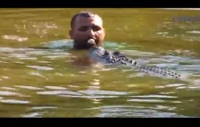بالفيديو..رجل یسبح مع التماسیح ویطعمها بفمه