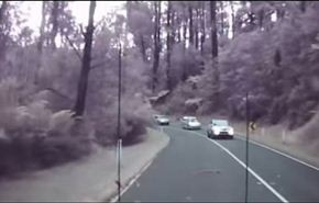 فيديو مروع...سائق ينجو من سقوط 7 أشجار على الطريق السريع