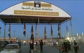 داعش 20 تروریست عضو خود را اعدام کرد