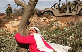 الفلسطينيون يحيون اليوم ذكرى يوم الأرض