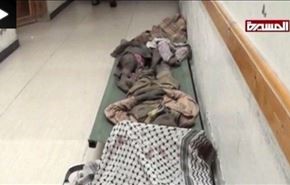 16شهید و زخمی دربمباران تعز توسط آل سعود