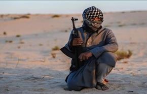 اعلان جنگ قبایل مسلح سینا به داعش و سکوت ارتش
