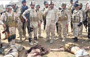 مئات القتلى من 