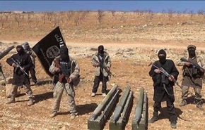 هذه هي هيكلية 