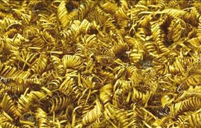 العثور على 2000 حلزون غامض من الذهب بالدنمارك
