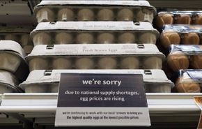 افزایش 85 درصدی بهای تخم‌مرغ در آمریکا