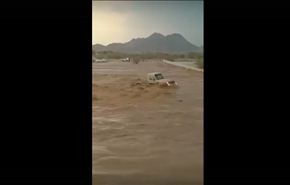 بالفيديو/ سعودي يغامر بحياته بالدخول في مجرى السيل