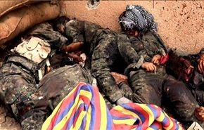 مقتل 771 مسلحا كرديا خلال شهر من العمليات التركية