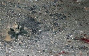 7 مجروح در حمله خمپاره‌ای به دمشق