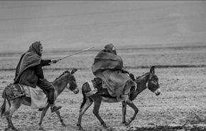 مصور إيراني يقتنص جائزة مهرجان فرنسي