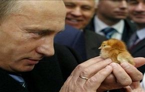 بوتين: أنا حمامة ولكن بجناحين من حديد!