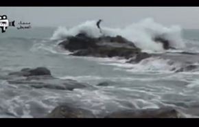 فيديو.. لحظة ابتلاع الأمواج شابا في اليمن