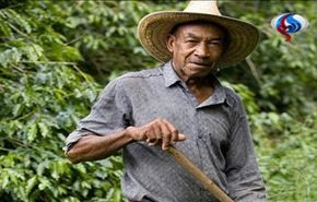 کشاورز کلمبیایی با گنج 600 میلیون دلاری چه کرد؟ +عکس
