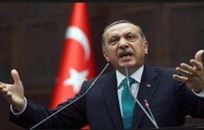 خبير تركي: عهد أردوغان 