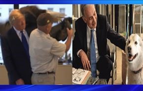 نقرة صقر وعضة كلبة .. ترامب ونتنياهو  +فيديو