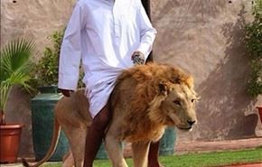 تصاویر؛ حیوانات خانگی عجیب در امارات!
