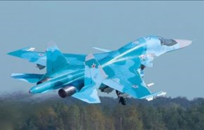 تركيا تعلن عن دخول مقاتلة روسية مجالها الجوي